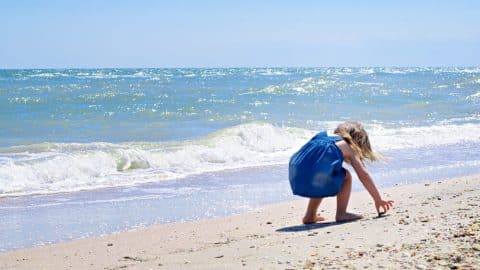 A little kid looking for shells during one of the low tides on Tybee Island.